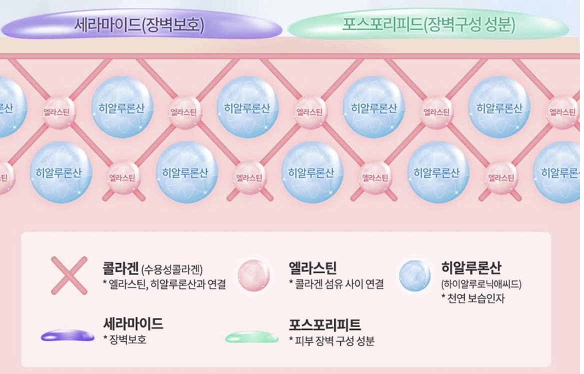 마데카-크림-효과