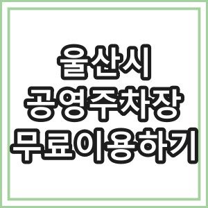 울산시 공영주차장 무료 이용법