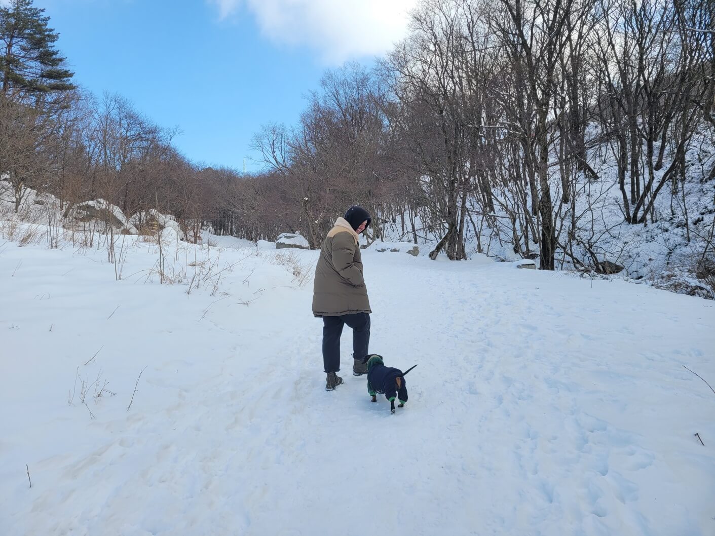 반려견 산책로
