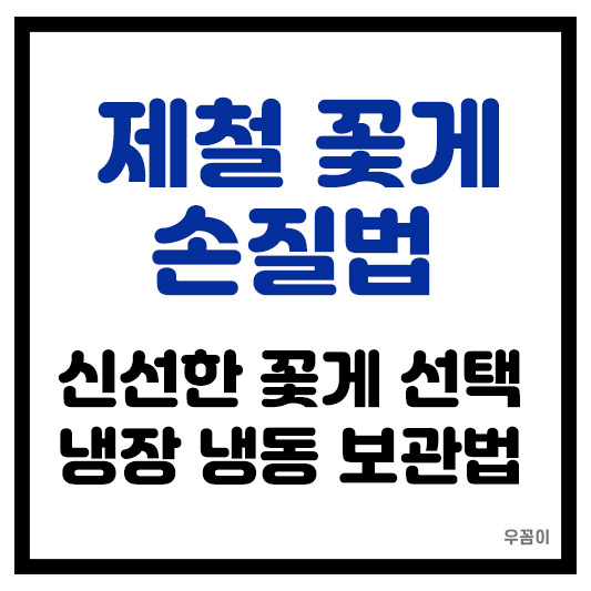 꽃게 손질법 신선한 보관 방법 꽃게 맛을 유지하는 노하우