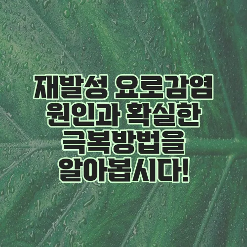 재발성 요로감염 원인과 확실한 극복방법을 알아봅시다!