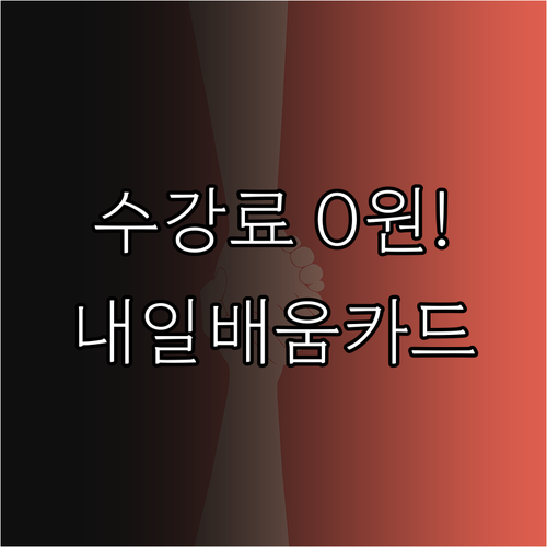 국민내일배움카드 활용 멋쟁이사자처럼 ..