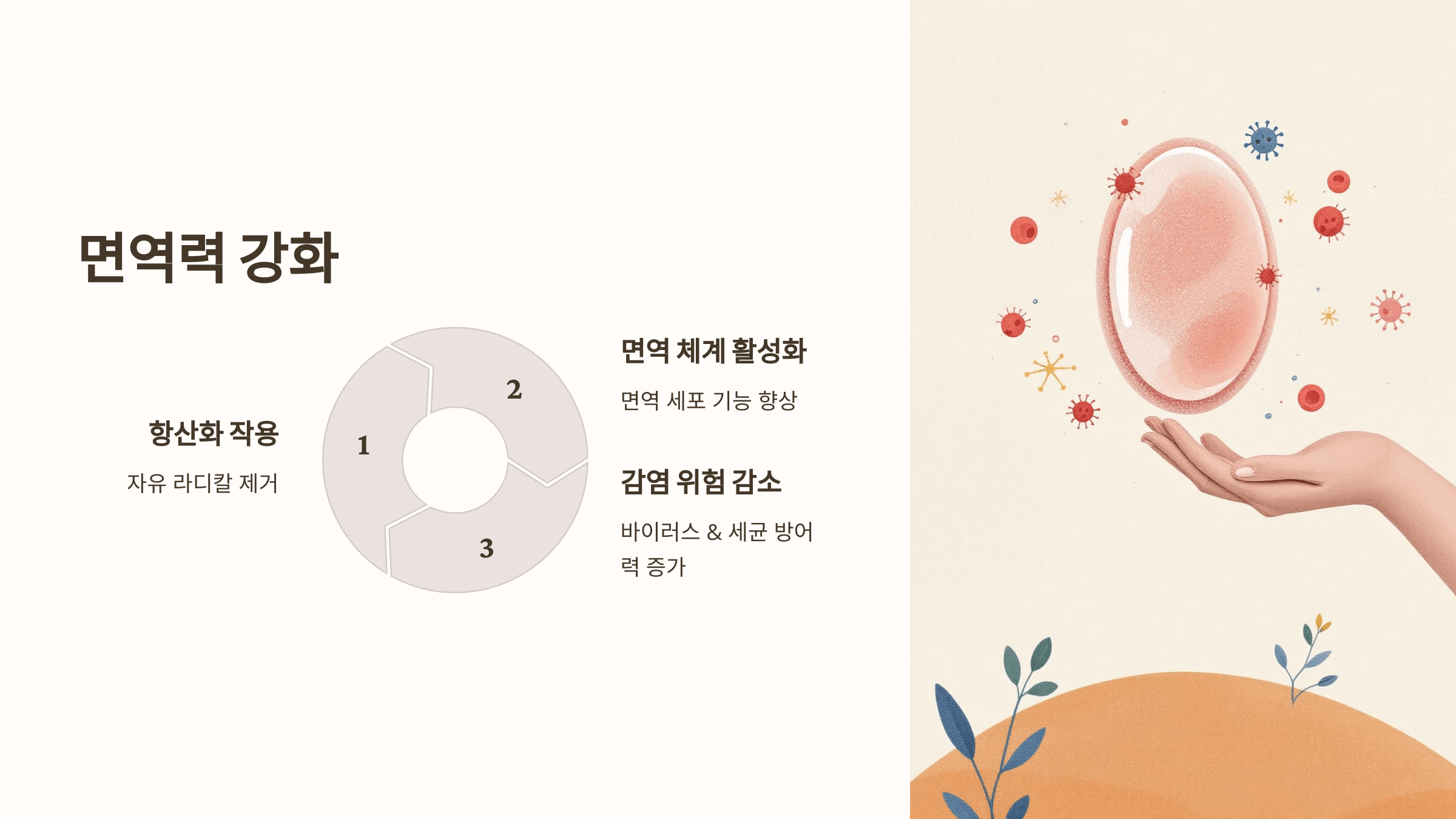 보스웰리아와 관련된 사진입니다.