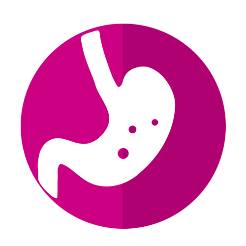 위장 모양 아이콘