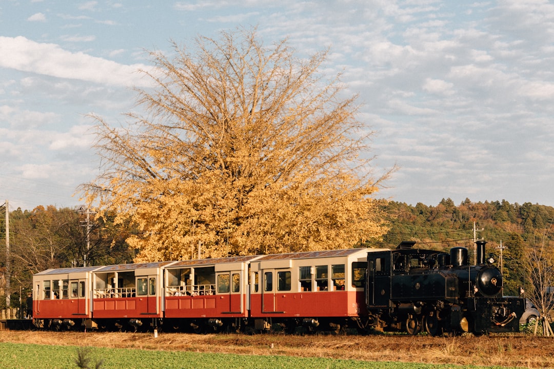 Trolley