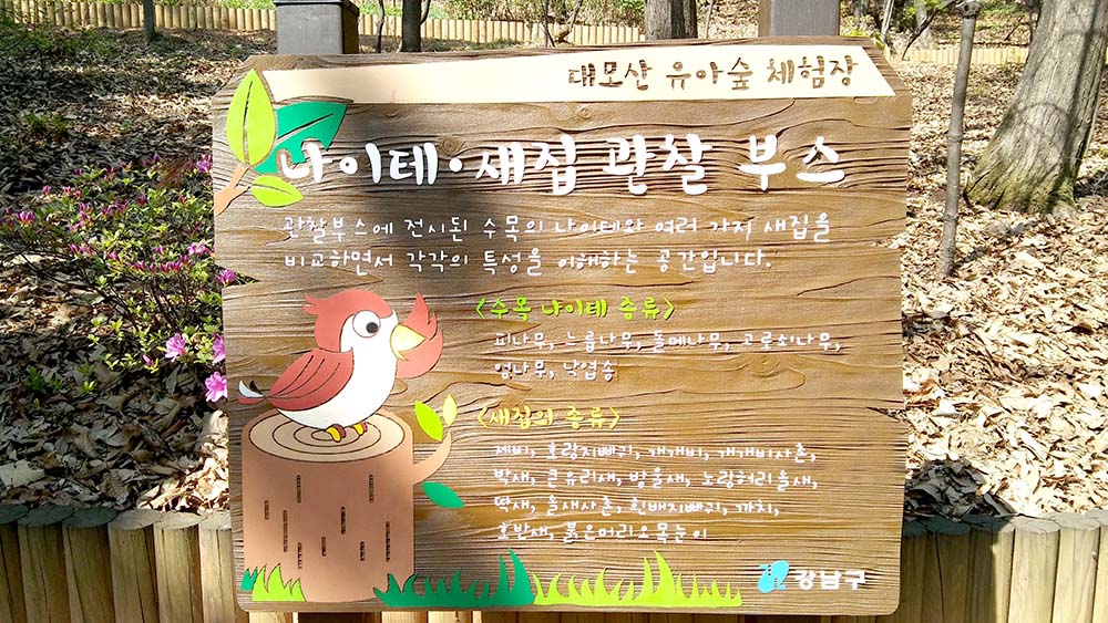 대모산&middot;우면산 '소풍'