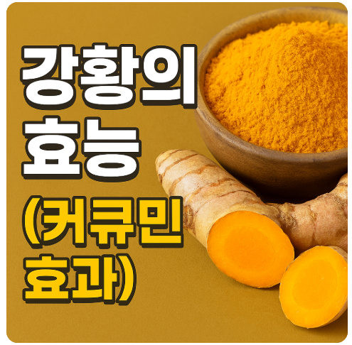 강황의 효능 (커큐민의 효과)