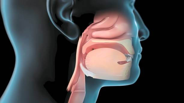 목젖 부었을때, 목젖 늘어짐이 있을 때 증상들이 있습니다. 날씨가 추워지거나 환절기에 많은 사람들이 감기에 걸리고 콧물, 기침, 인후염 때문에 인후통이 있습니다. 이렇게 추운 날씨에는 면역력이 떨어지기 쉬우니 건강관리에 더욱 신경을 쓰셔야 합니다. 그 중에도 목젖이 부었거나 늘어짐이 있는 원인과 증상을 참고하세요.