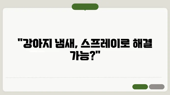 강아지 냄새 제거 스프레이, 정말 효과 있윤 갔고, 후기 살펴보기