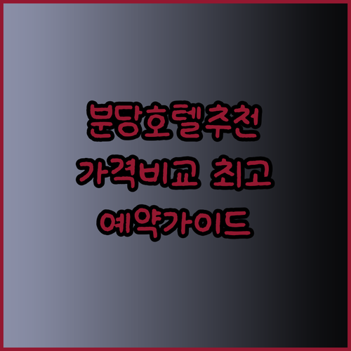 성남 분당 호텔 예약 가이드 최고의