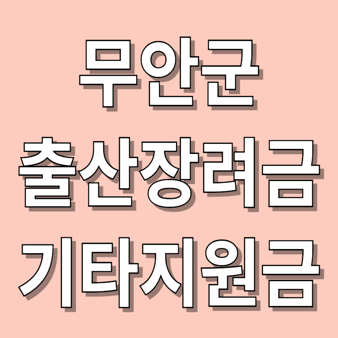 무안군 출산장려금