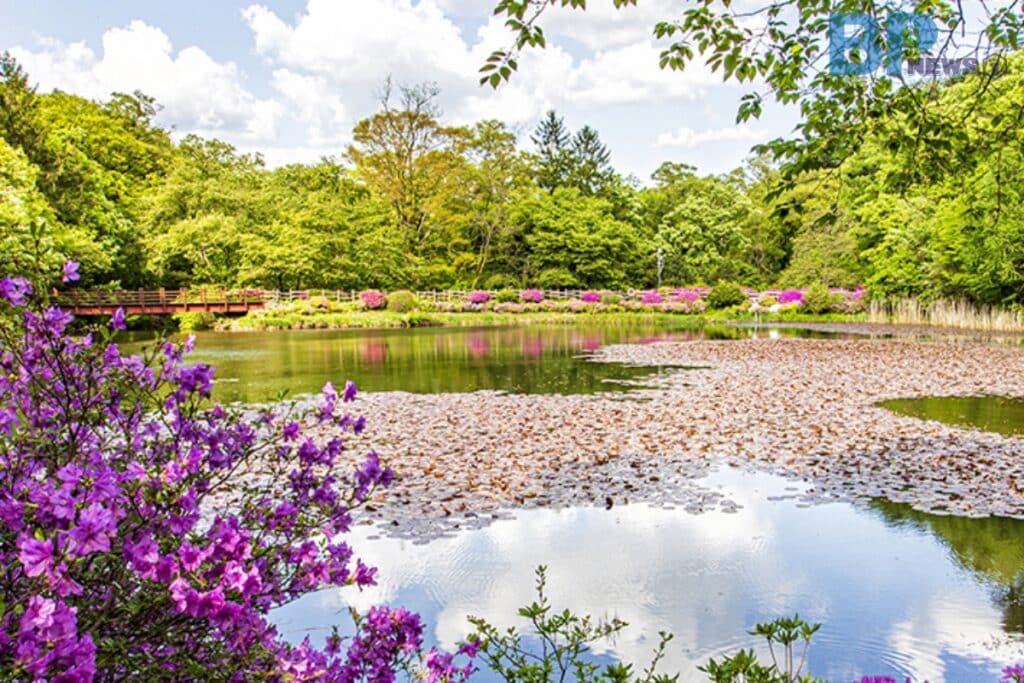 가평-베고니아새정원