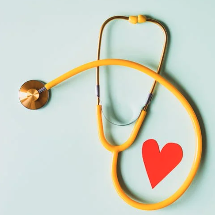 콜레스트롤 조절