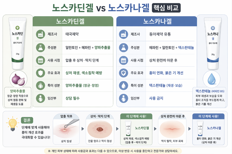 노스카딘겔 vs 노스카나겔 비교 인포그래픽으로 여드름 압출 후 상처 단계와 흉터 단계에 따른 사용 시점, 성분 차이와 효과(상처 재생, 흉터 완화)를 정리한 이미지