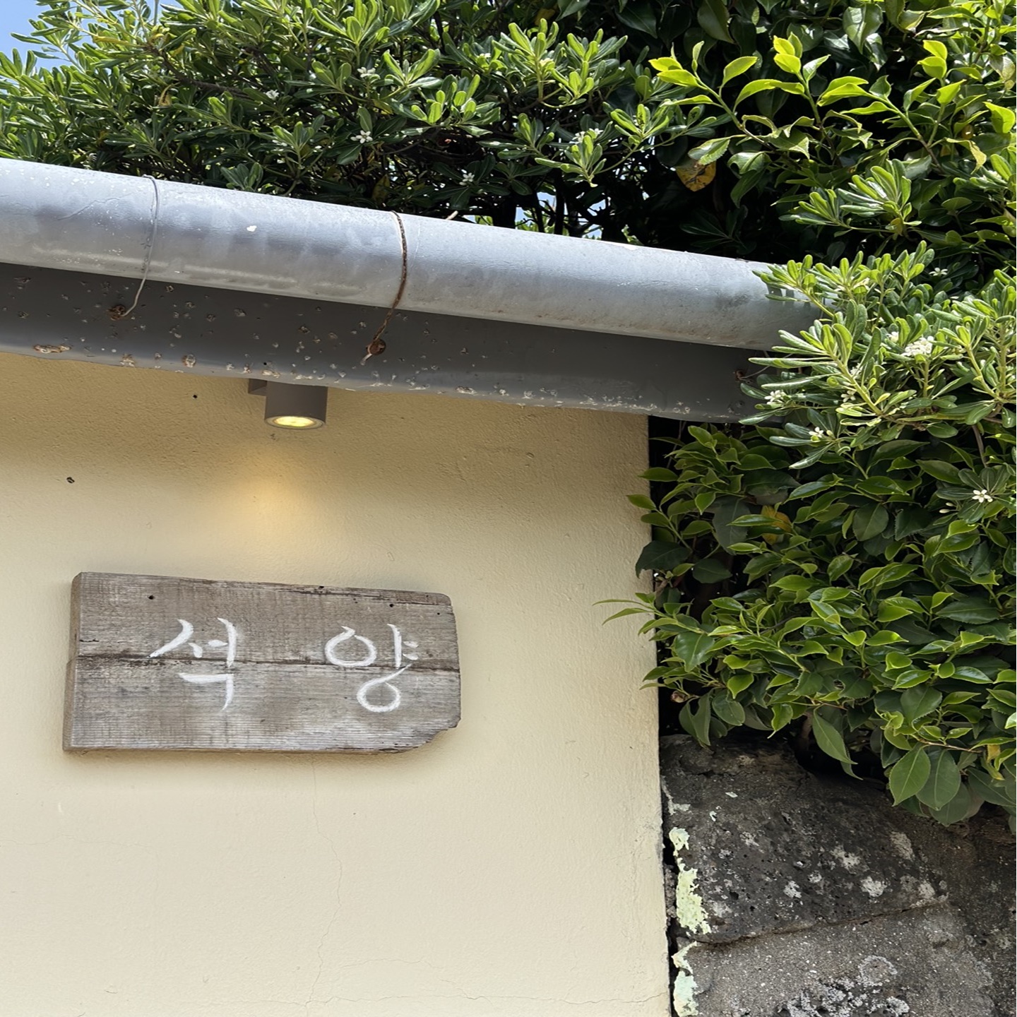 제주도동쪽구좌읍맛집