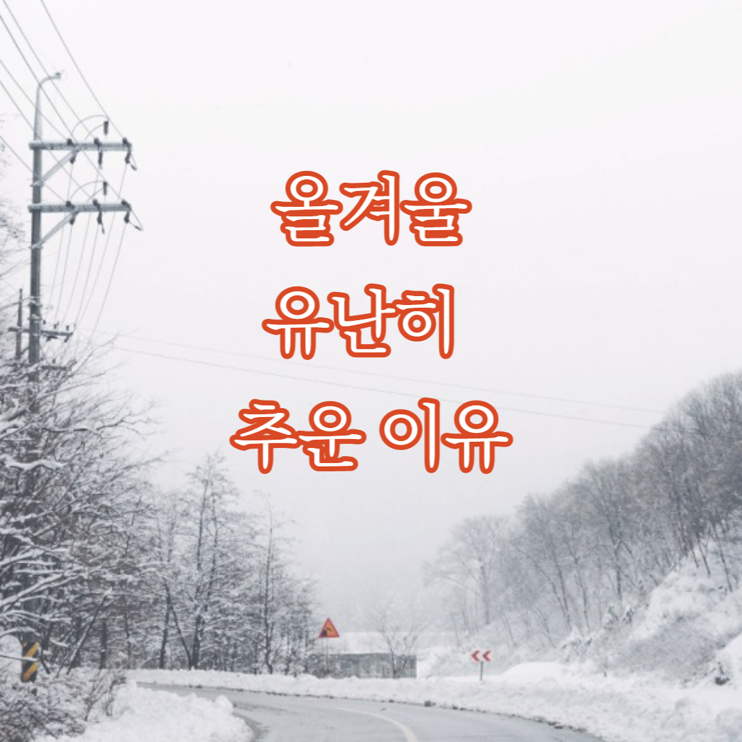 올겨울 유난히 추운 이유 겨울 추위