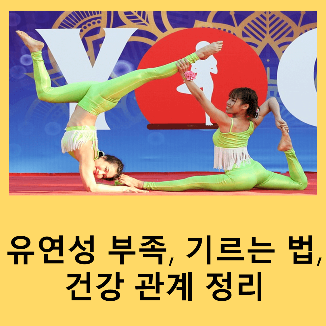 유연성