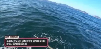 낚시 입질 파악 감도 좋은 채비 바늘 크기 조정 방법_6
