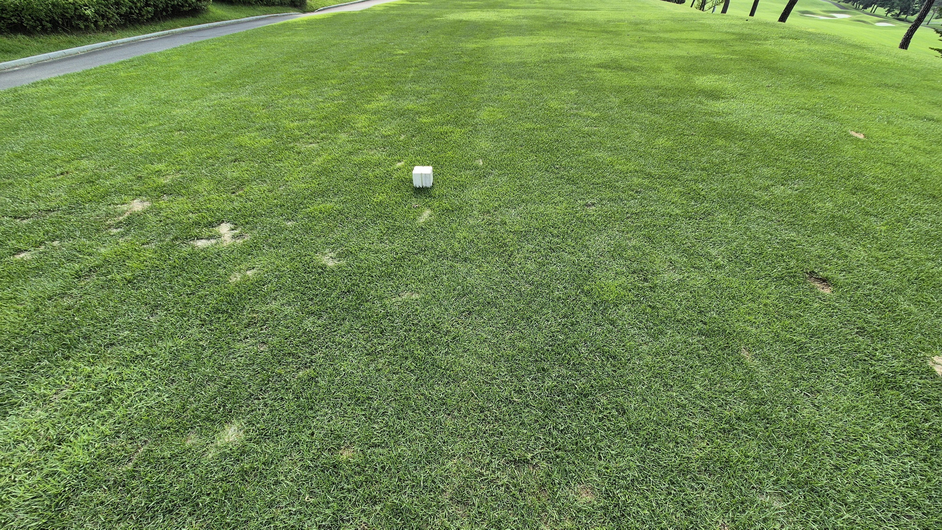 동원썬밸리cc 라운드 후기