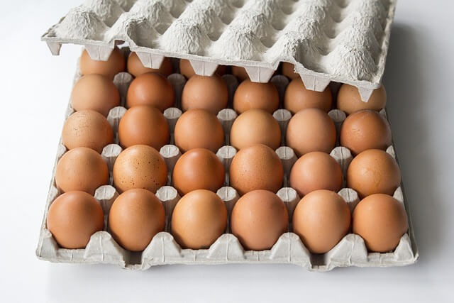 달걀 30개짜리 한판