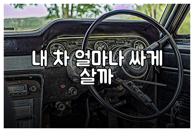 내 차 얼마나 싸게 살까