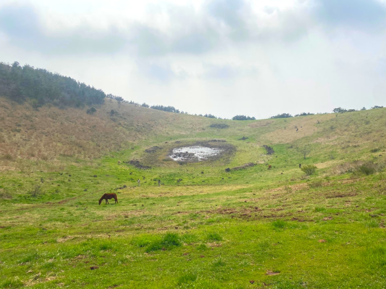 금오름의 분화구와 풀을 뜯어 먹고 있는 말 한마리
