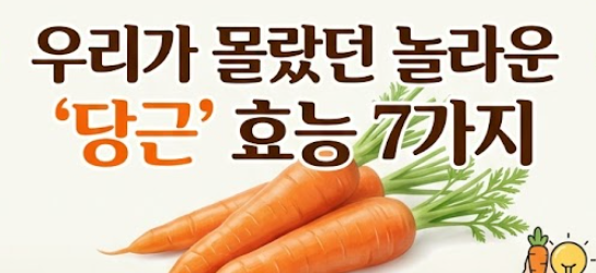 당근 효능