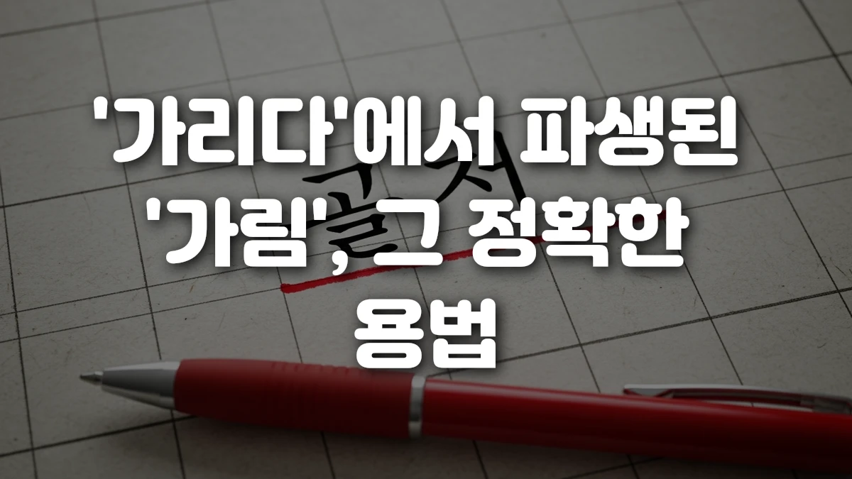 가리다 에서 파생된 가림 그 정확한 용법