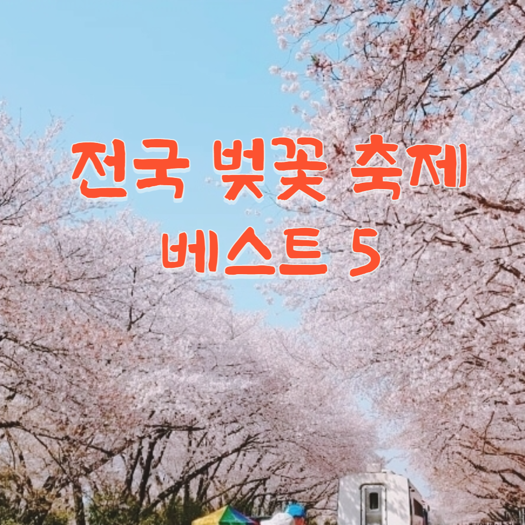 전국 벚꽃 축제 유명한 곳