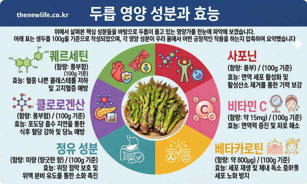 두릅 효능 영양성분