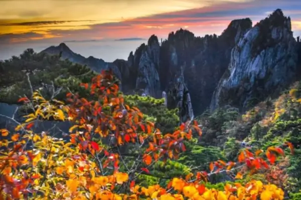 웅장한-기암괴석-사이로-붉게-물든-단풍이-펼쳐지는-황산의-가을