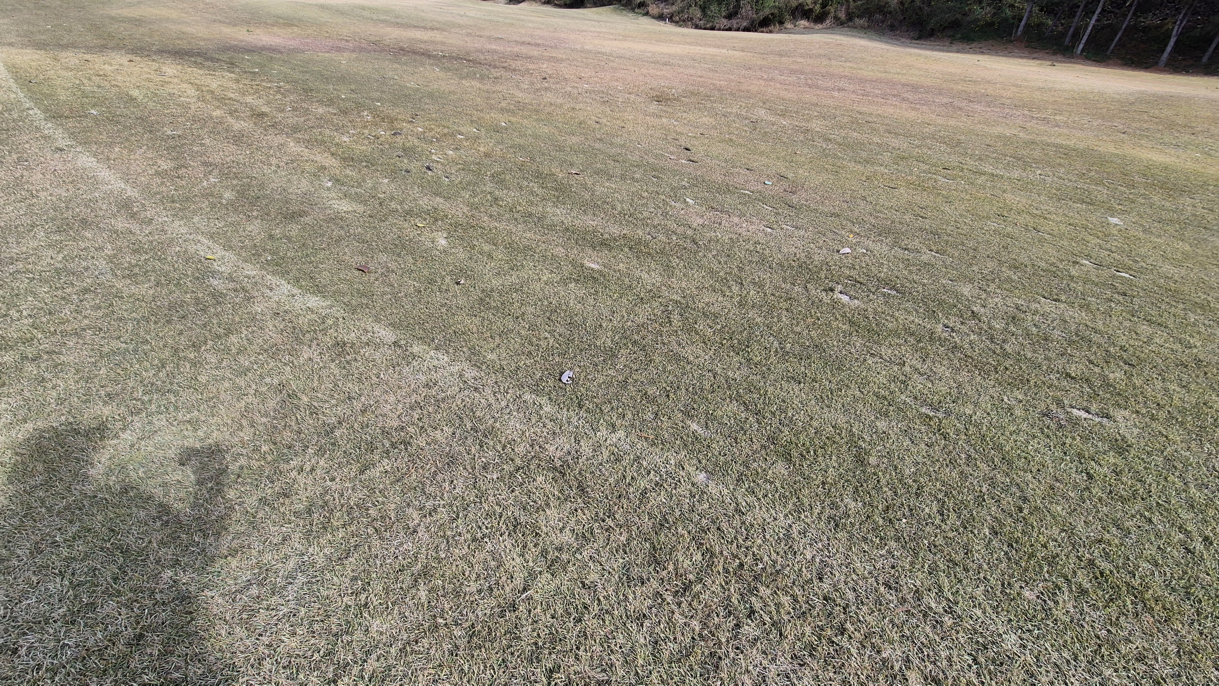 세종에머슨cc 밸리-마운틴 코스난이도