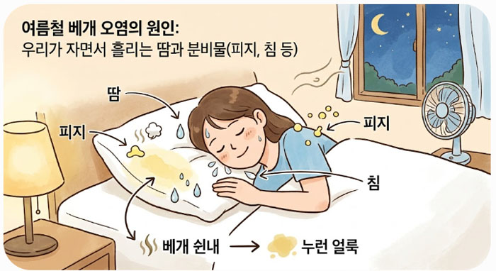 베개 쉰내와 누런 얼룩, 진짜 원인은 무엇일까?