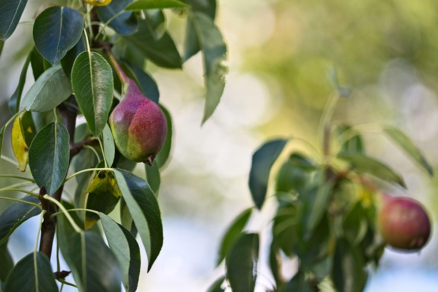 발바닥통증의 원인 2