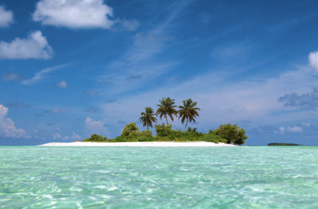 무인도 생존법 배우기 - 현실판 로빈슨 크루소 도전