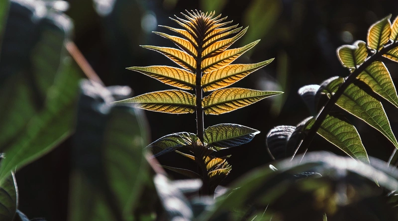 공장 자동화 설비 시공비용 결정 요소