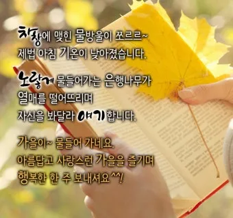 9월 인사말 모음 예시 문자_26