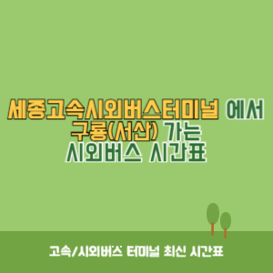 세종고속시외버스터미널에서 구룡(서산) 가는 시외버스 시간표 최신정보