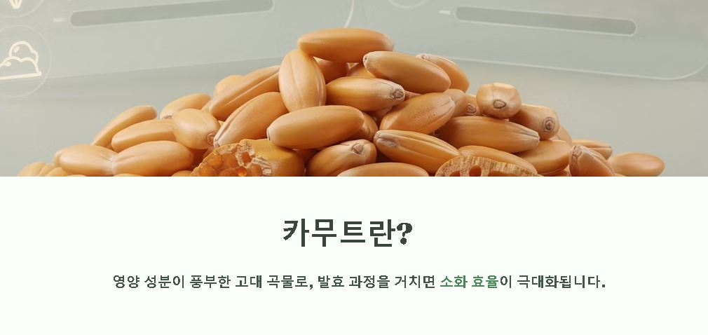 카무트 효소 만드는 법 단계별 가이드