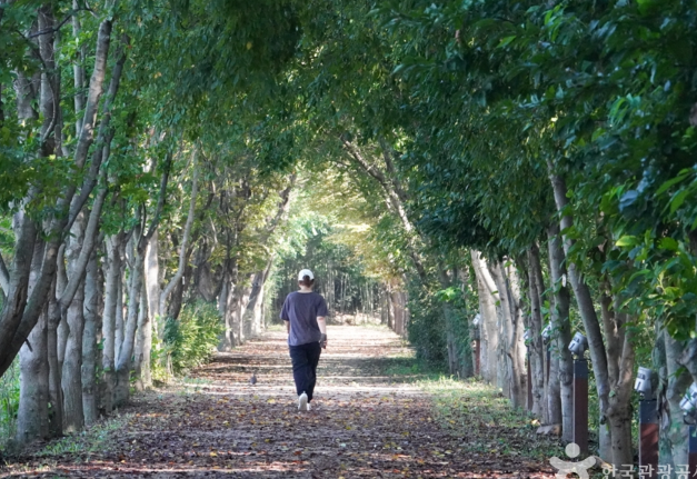 경북천년숲정원