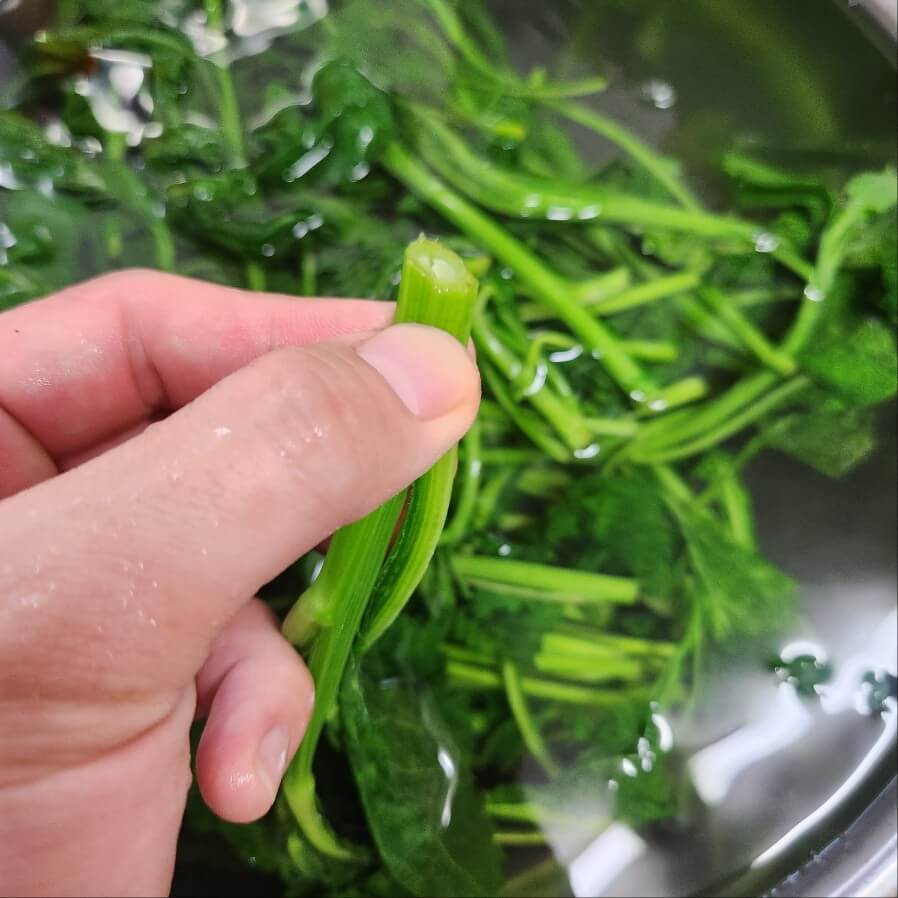봄나물 종류 봄나물무침 봄나물비빔밥 봄나물 이름 봄나물 종류 사진 봄나물반찬 봄나물전 봄나물 종류 이름 봄나물 맛집 봄나물캐기 봄나물 도안 봄나물 파스타 야생 봄나물 야생 봄나물 종류 봄나물장아찌 봄 제철 나물 봄나물 효능 머위나물 방풍나물 나물 봄나물샐러드 봄나물 종류와 사진 봄나물의 종류 봄나물 비빔밥 봄나물 무침요리 봄나물 요리 봄나물 전 봄나물 무침 봄나물 지칭게 봄나물 반찬 봄나물 산행 봄나물 채취시기 봄나물 캐기 좋은곳 봄나물 샐러드 알토란 봄나물죽