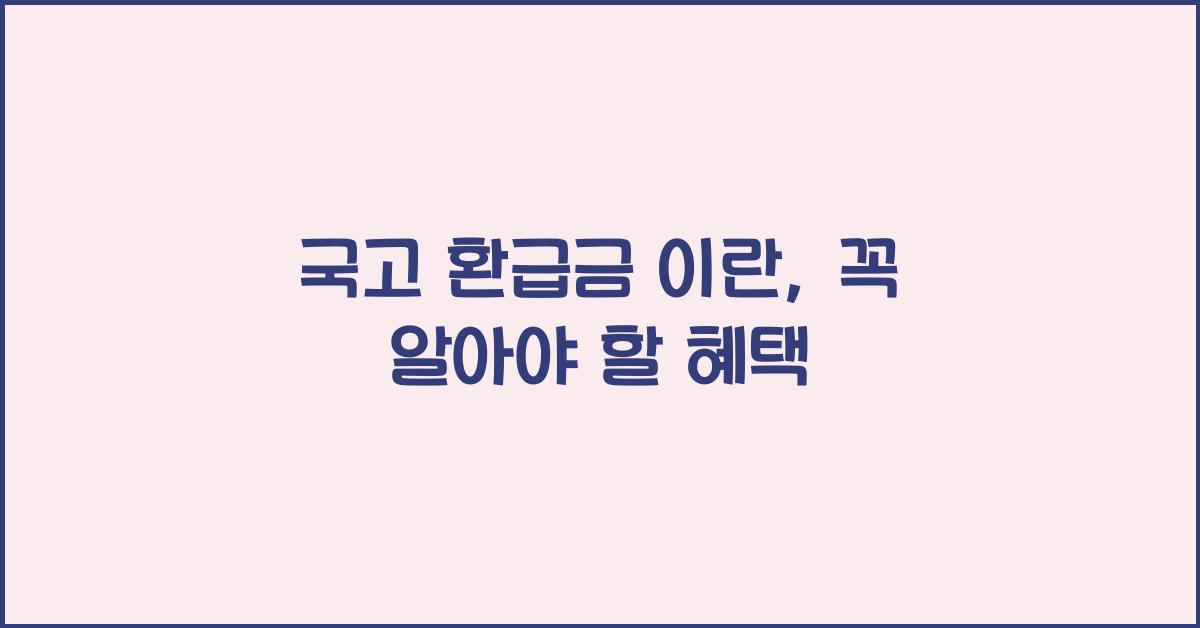 국고 환급금 이란