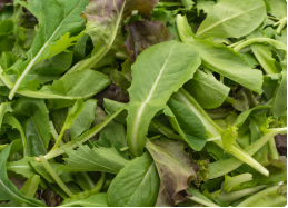 포스파티딜세린 함유 음식