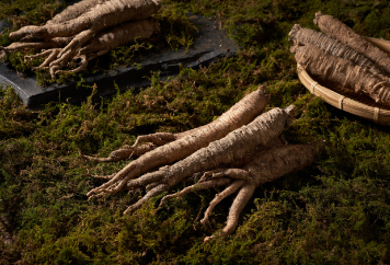 이가네더덕밥 대표 메뉴