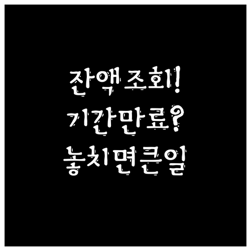 2026 민생회복지원금 잔액 조회와 ..