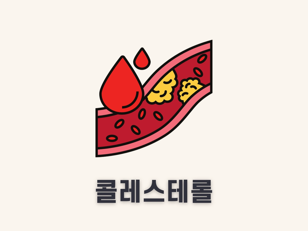 콜레스테롤