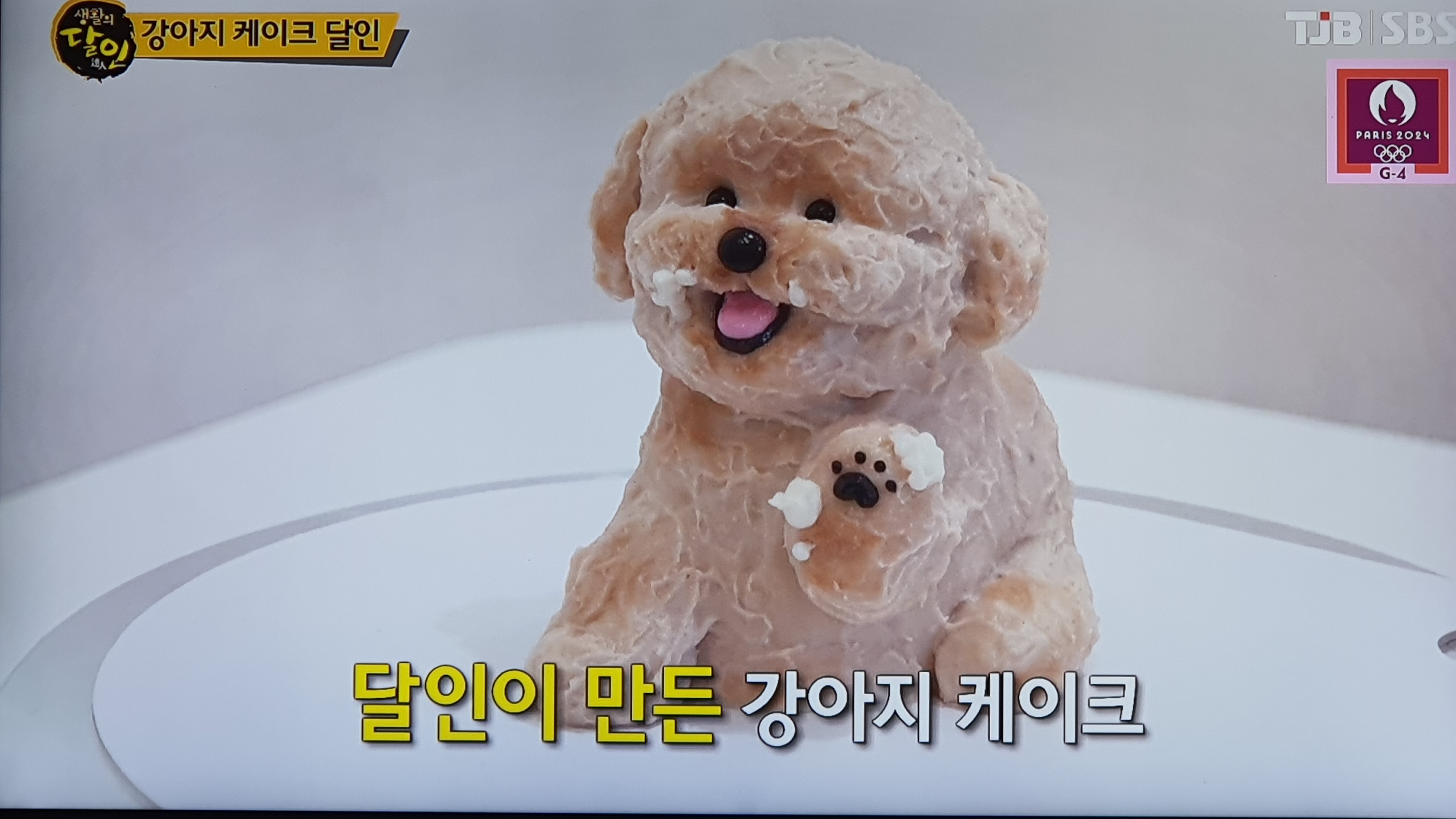 왈테이블 가격 정보