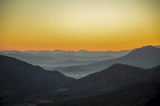 곡면 건축(Parametric Architecture)