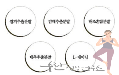 SMDR 수면영양제 부작용