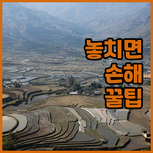 에든버러 여행 필수 정보.. 숙소 선